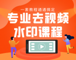 专业去视频水印教程 静态水印、动态水印、文字水印、图片水印一套教程通通搞定-520资源库