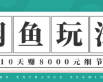 龟课·闲鱼项目玩法实战班第12期,操作10天左右利润有8000元细节玩法-520资源库