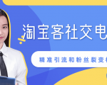 某站内部课程:淘宝客社交电商裂变,精准引流和粉丝裂变模式详解(共6节视频)-520资源库