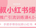 狼叔小红书爆款推广引流训练课4.0，手把手带你玩转小红书-520资源库