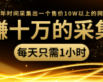年赚十万的采集站，每天却只需要1小时，一年时间采集出一个售价10W以上的网站-520资源库