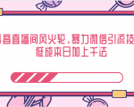 抖音直播间风火轮,暴力微信引流技术,低成本日加上千法-520资源库