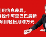 利用信息差异，零投资操作阿里巴巴最新管道项目轻松月赚10000+-520资源库