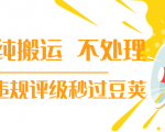 抖音纯搬运 不处理 小技巧，30秒发一个作品，避免违规评级秒过豆荚-520资源库