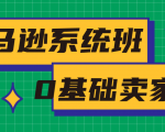 亚马逊系统班，专为0基础卖家量身打造，亚马逊运营流程与架构-520资源库