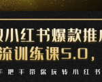 小红书爆款推广引流训练课5.0，手把手带你玩转小红书（17节实操视频+话术）-520资源库