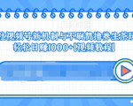 视频号新机制与不刷赞撸养生茶玩法，轻松日赚1000+-520资源库