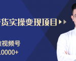 柚子分享课：微信视频号变现攻略，新手零基础轻松日赚千元-520资源库
