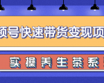 柚子视频号带货实操变现项目，零基础操作养身茶月入10000+-520资源库