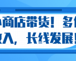 微信小商店带货,爆单多倍收入,长期复利循环!日赚300-800元不等-520资源库
