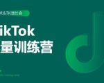2020最新TikTok流量增长训练营（完结）附PPT-520资源库