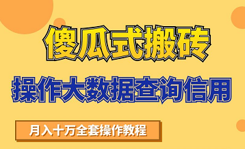 搬砖操作大数据查询信用项目赚钱教程,祝你快速月入6万-520资源库