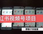 野路子小红书视频号1.0项目,直接上手操作就能赚钱的视频号项目-520资源库