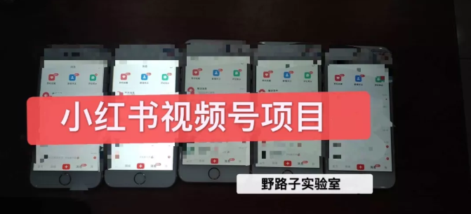 野路子小红书视频号1.0项目，直接上手操作就能赚钱的视频号项目-520资源库