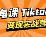 龟课·TikTok变现实战训练营线上第1期，多种变现模式，轻松赚美刀-520资源库