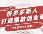 拼多多新人打造爆款创业课：快速引流持续出单，适用于所有新人-520资源库