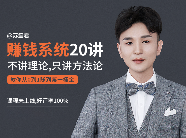 苏笙君的赚钱系统20课 教你从0到1赚到你的第一桶金（不讲理论，只讲方法论）-520资源库