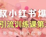 狼叔小红书爆款推广引流训练课第12期，手把手带你玩转小红书-520资源库