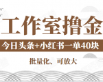 工作室撸金二件套：撸今日头条原创收益+小红书一单利润40块项目-520资源库
