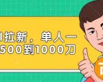 Paypal拉新赚美刀项目,单人一天利润500-1000刀【视频课程】-520资源库