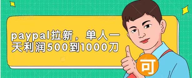 Paypal拉新赚美刀项目，单人一天利润500-1000刀【视频课程】-520资源库