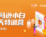 雨课·亚马逊小白特训营第9期 跨境电商挺赚钱的 有朋友已经月入几十万美金-520资源库