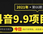 抖音9.9课程项目，没粉丝也能卖课，一天300+粉易变现-520资源库