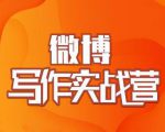 村西边老王·微博超级写作实战营，帮助你粉丝猛涨价值999元-520资源库