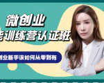 微创业全能训练营认证班课程,从理论知识与实际案例手把手指导创业新手如何从零到有-520资源库