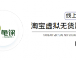 龟课·淘宝虚拟无货源电商5期，全程直播 现场实操，一步步教你轻松实现躺赚-520资源库