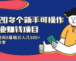 20多个新手可操作的副业赚钱项目:业余时间0基础日入几500+实操分享-520资源库