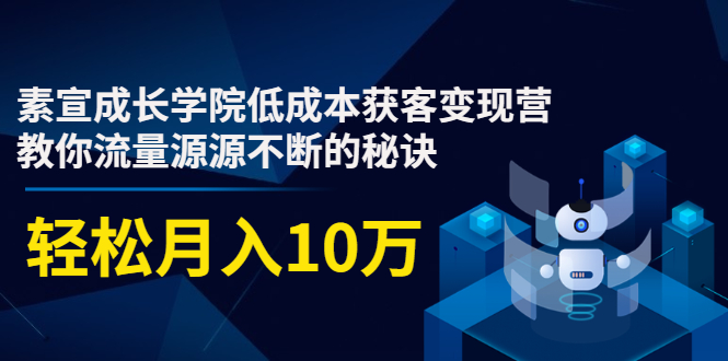 素宣成长学院低成本获客变现营，教你流量源源不断的秘诀，轻松月入10万-520资源库