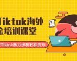 最新Tiktok海外掘金培训课堂：带你玩转Tiktok暴力涨粉轻松变现-520资源库