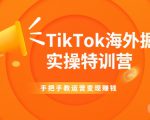 TikTok海外掘金实操特训营：手把手教运营变现赚钱-520资源库