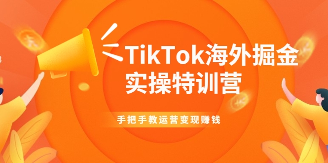 TikTok海外掘金实操特训营：手把手教运营变现赚钱-520资源库