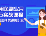 2021闲鱼副业月入过万实战课程：从开店到选择货源到引流，全程实战教学-520资源库
