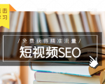 未来新趋势,布局短视频SEO,如何利用抖音SEO免费获得精准流量(3节课)-520资源库