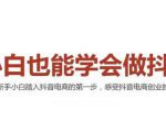 2021最新抖音小店无货源课程，小白也能学会做抖店，轻松月入过万-520资源库