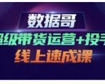 数据哥·超级带货运营+投手线上速成课,快速提升运营和熟悉学会投手技巧-520资源库