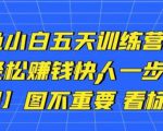 卓让闲鱼小白五天训练营，每天一小时，轻松赚钱快人一步-520资源库