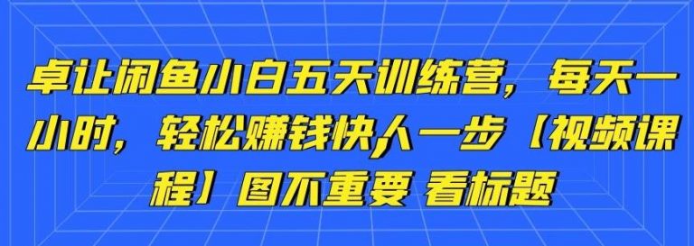 卓让闲鱼小白五天训练营,每天一小时,轻松赚钱快人一步-520资源库