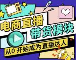 大鹏·电商直播带货课，系统学习直播带货各环节技巧和套路-520资源库