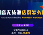 蟹老板·抖音无货源店群怎么做，吊打市面一大片《抖音无货源店群》的课程-520资源库