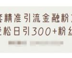 1套精准引流金融粉方法，轻松日引300+粉丝-520资源库