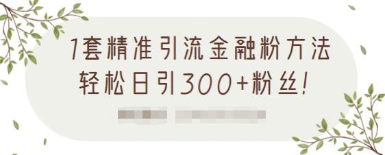 1套精准引流金融粉方法,轻松日引300+粉丝-520资源库
