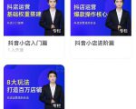 湛北·抖音小店入门进阶高阶合集，八大玩法打造百万店铺-520资源库
