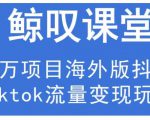 鲸叹号·海外TIKTOK训练营，百万项目海外版抖音tiktok流量变现玩法-520资源库