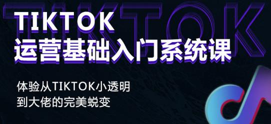 Tiktok实操进阶课程，体验从tiktok小透明到大佬的完美蜕变-520资源库