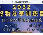 萌飞好物·2022抖音好物分享训练营，当下风口带货变现模式，从入门到精通-520资源库