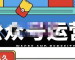 零零已久·从0-1运营公众号，零基础小白也能上手，系统性了解公众号运营-520资源库